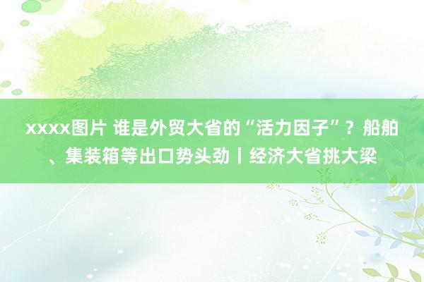 xxxx图片 谁是外贸大省的“活力因子”？船舶、集装箱等出口势头劲丨经济大省挑大梁