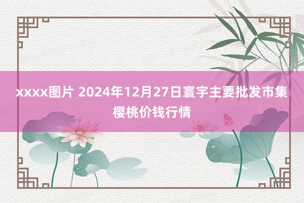 xxxx图片 2024年12月27日寰宇主要批发市集樱桃价钱行情