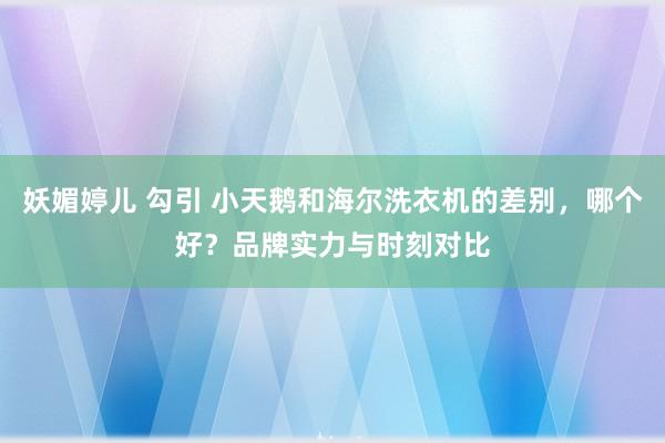 妖媚婷儿 勾引 小天鹅和海尔洗衣机的差别，哪个好？品牌实力与时刻对比