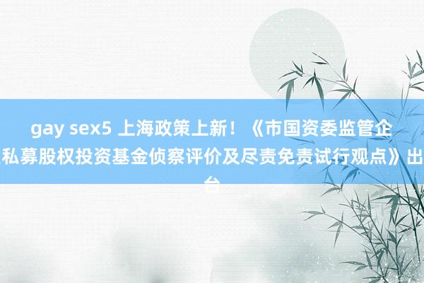 gay sex5 上海政策上新！《市国资委监管企业私募股权投资基金侦察评价及尽责免责试行观点》出台