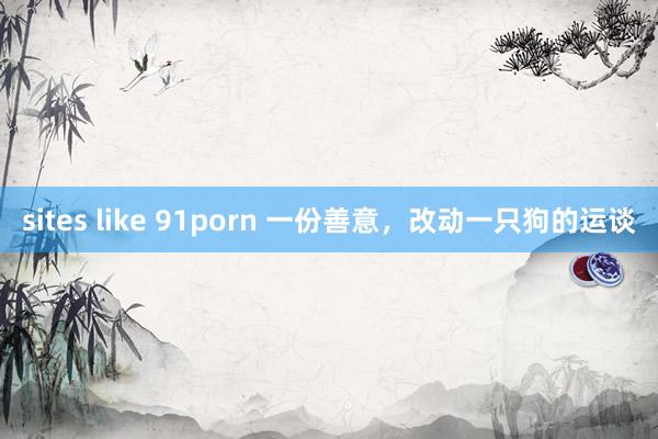 sites like 91porn 一份善意，改动一只狗的运谈