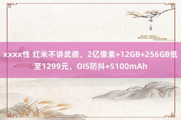 xxxx性 红米不讲武德，2亿像素+12GB+256GB低至1299元，OIS防抖+5100mAh