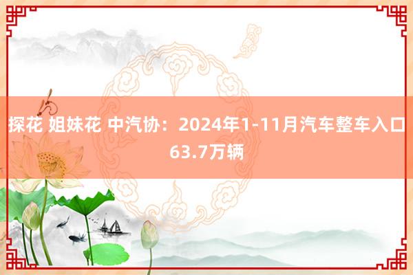 探花 姐妹花 中汽协：2024年1-11月汽车整车入口63.7万辆