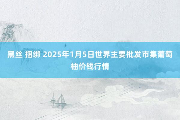 黑丝 捆绑 2025年1月5日世界主要批发市集葡萄柚价钱行情