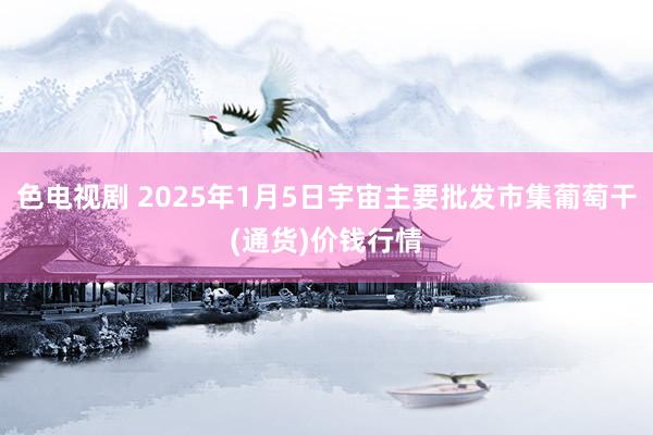 色电视剧 2025年1月5日宇宙主要批发市集葡萄干(通货)价钱行情