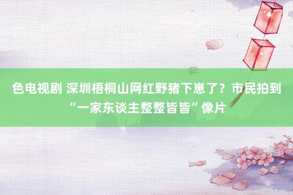 色电视剧 深圳梧桐山网红野猪下崽了？市民拍到“一家东谈主整整皆皆”像片