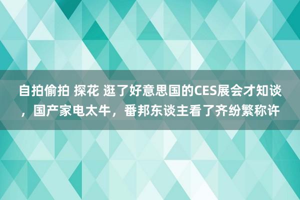 自拍偷拍 探花 逛了好意思国的CES展会才知谈，国产家电太牛，番邦东谈主看了齐纷繁称许