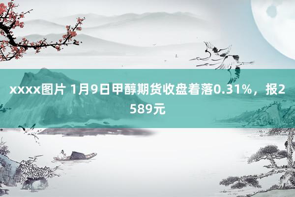 xxxx图片 1月9日甲醇期货收盘着落0.31%，报2589元