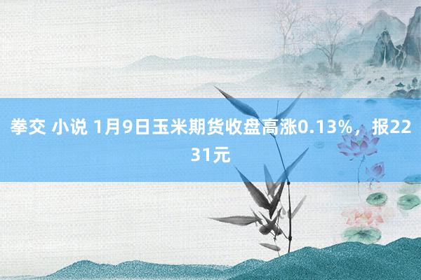 拳交 小说 1月9日玉米期货收盘高涨0.13%，报2231元