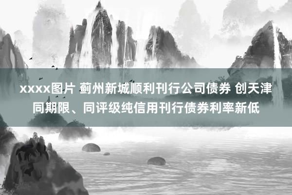 xxxx图片 蓟州新城顺利刊行公司债券 创天津同期限、同评级纯信用刊行债券利率新低