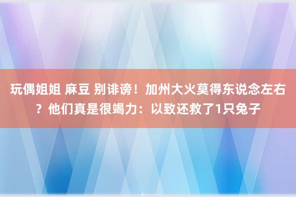 玩偶姐姐 麻豆 别诽谤！加州大火莫得东说念左右？他们真是很竭力：以致还救了1只兔子