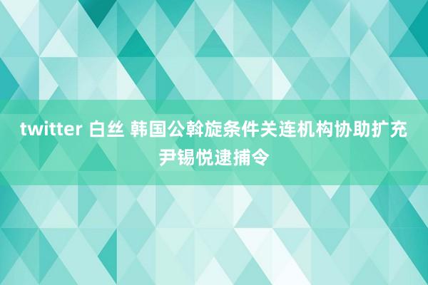 twitter 白丝 韩国公斡旋条件关连机构协助扩充尹锡悦逮捕令