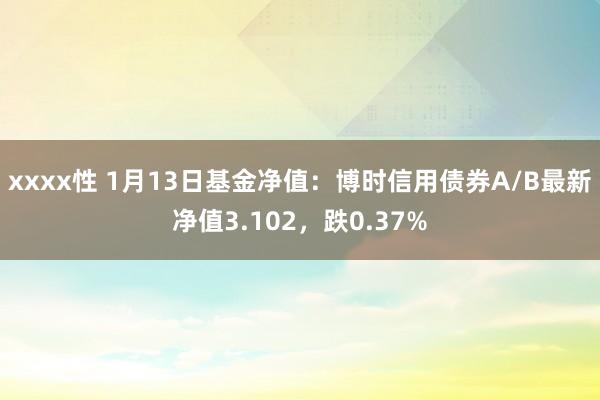 xxxx性 1月13日基金净值：博时信用债券A/B最新净值3.102，跌0.37%