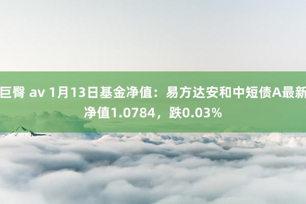 巨臀 av 1月13日基金净值：易方达安和中短债A最新净值1.0784，跌0.03%