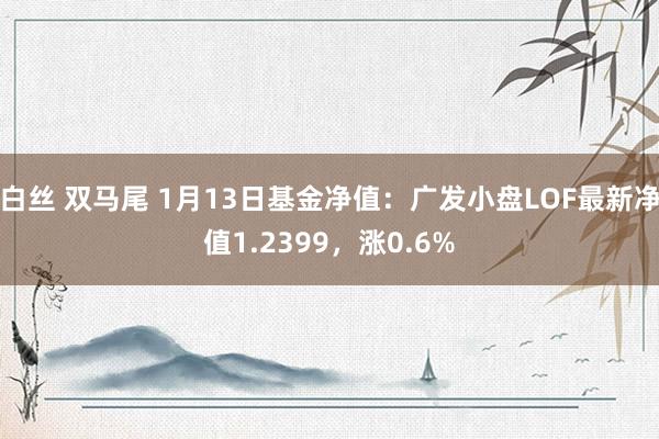 白丝 双马尾 1月13日基金净值：广发小盘LOF最新净值1.2399，涨0.6%